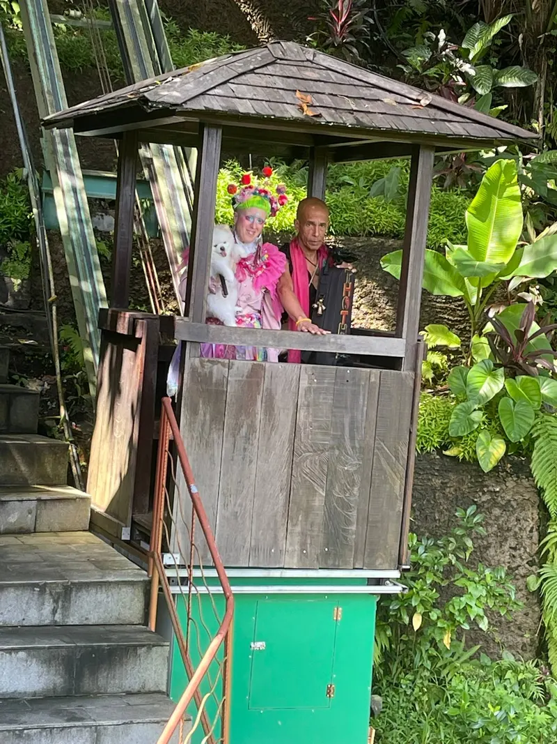 Guests riding the open-air timber elevator through the jungle at River Song