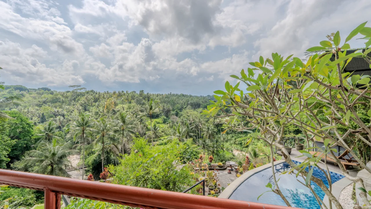 Room 4A view 2