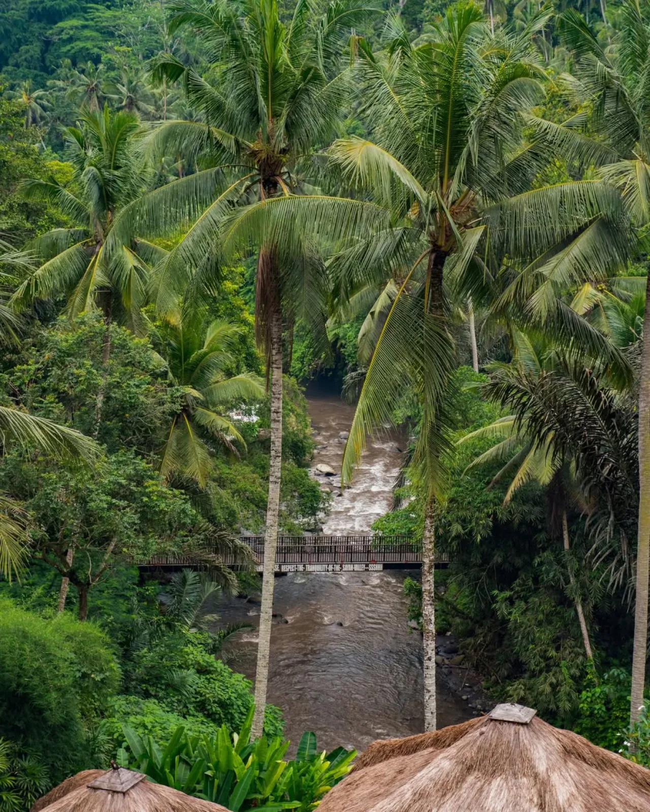 Adventure — Ayung River rafting and jungle trekking
