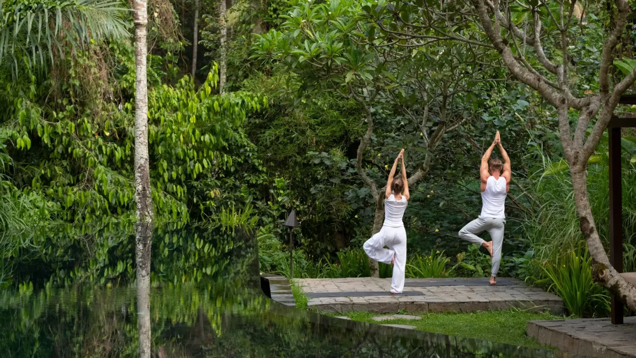 Wellness — yoga sessions and spa treatments