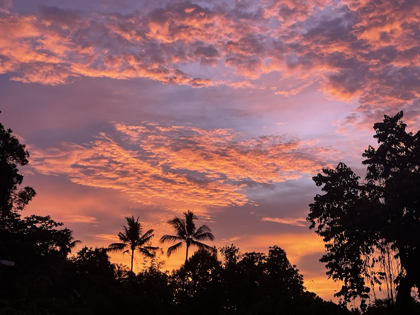 Sunset over the Ubud jungle valley