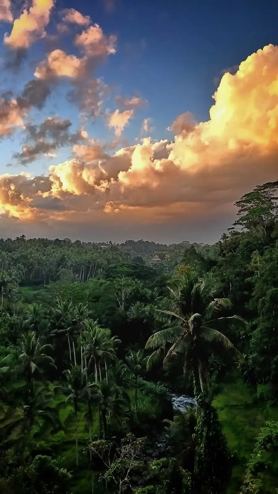 Sunset over the jungle valley at River Song