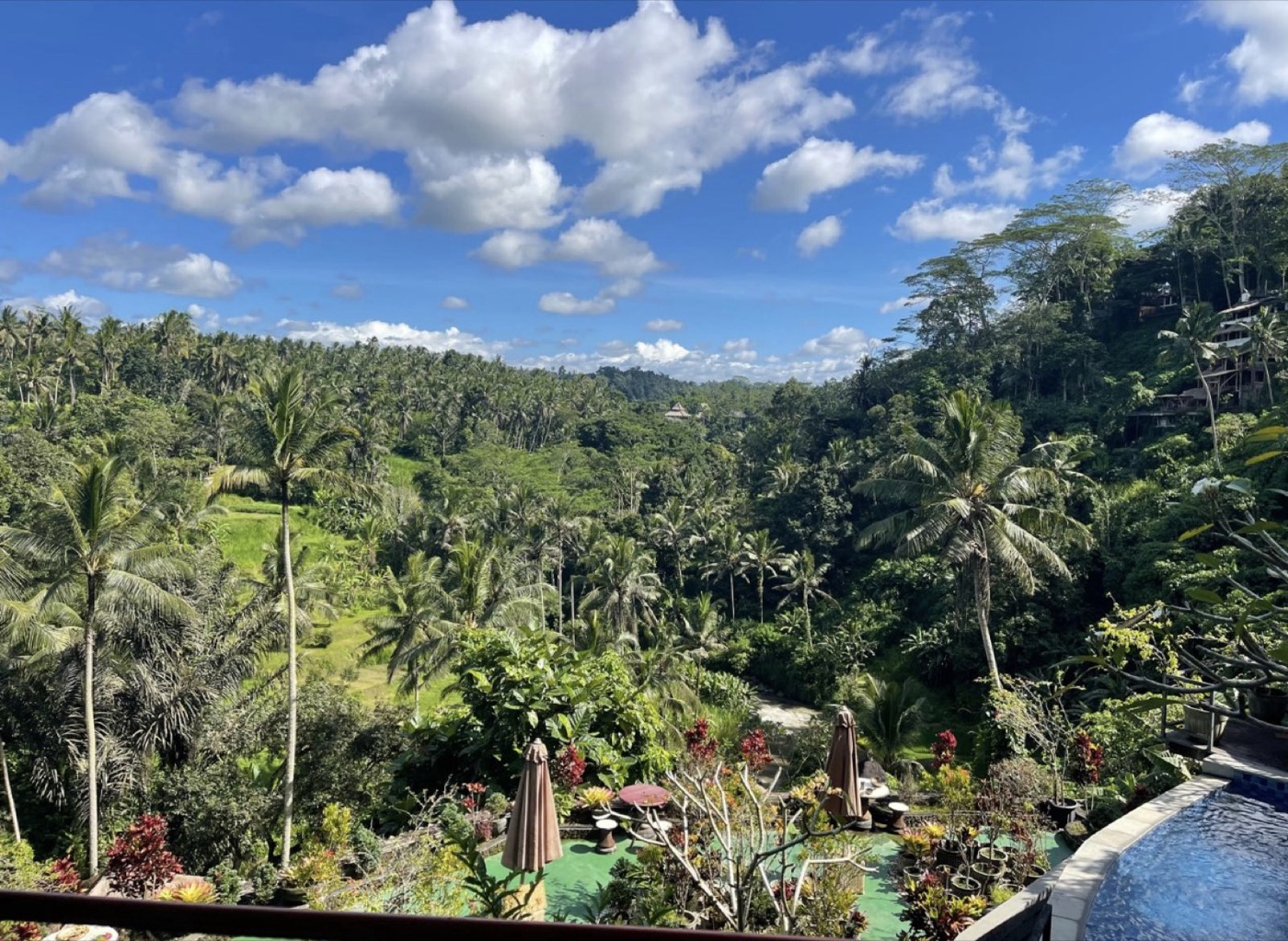 Panoramic view of the Sayan jungle from River Song