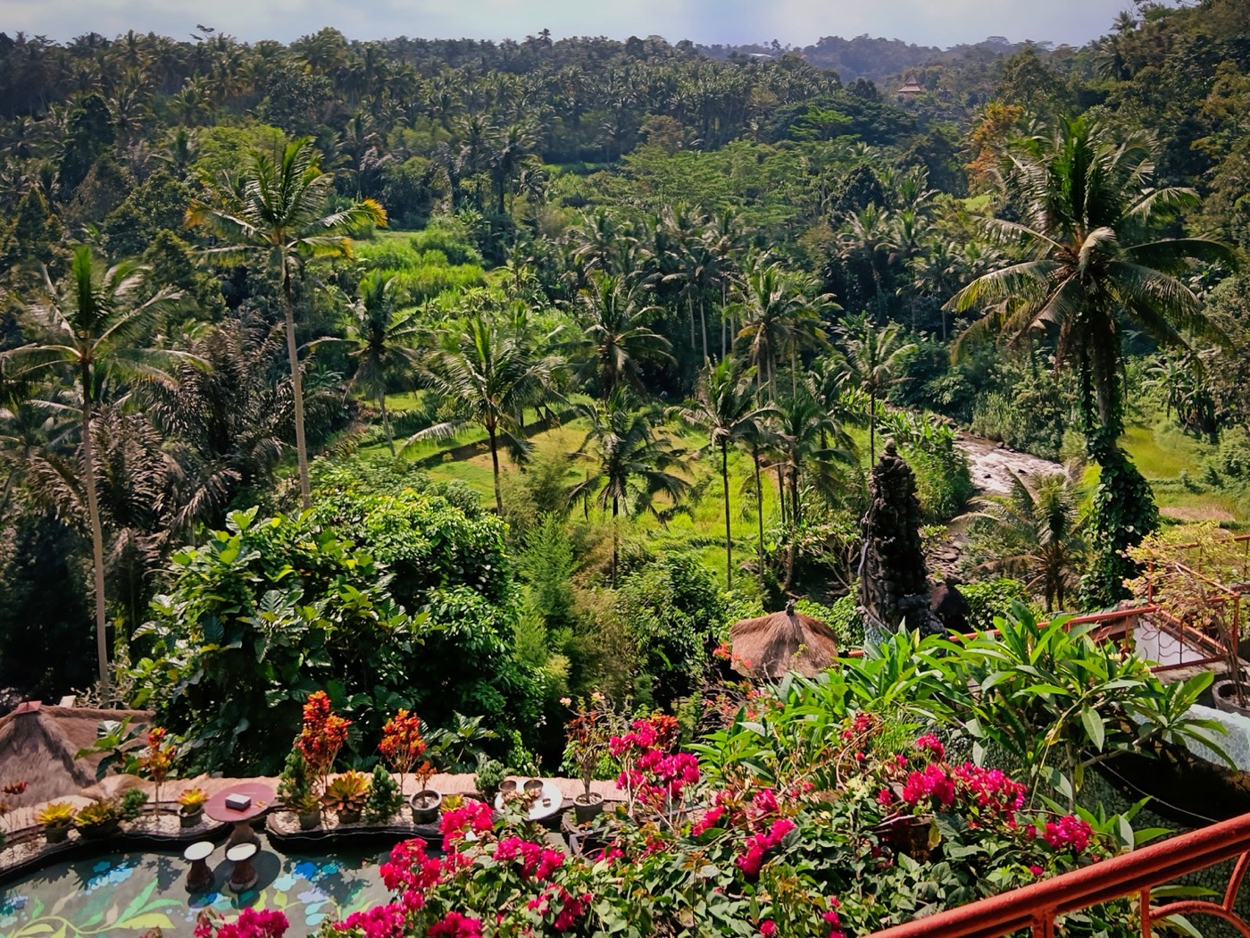 River Song overlooking the Ayung River valley