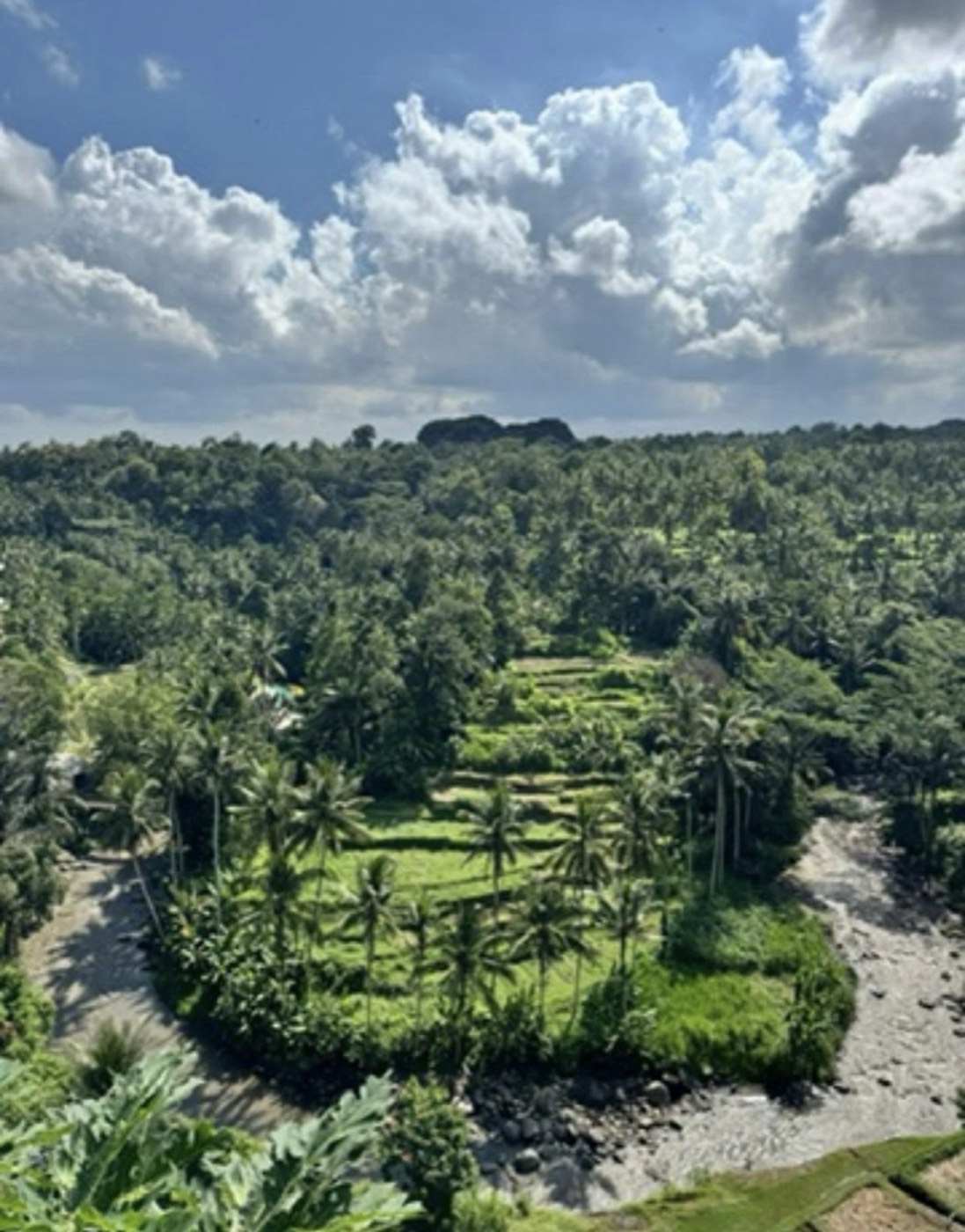 Jungle valley view from River Song