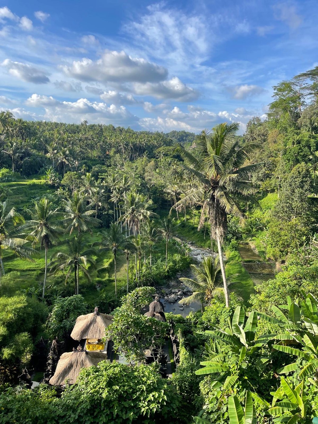 View over the Ayung River valley at River Song
